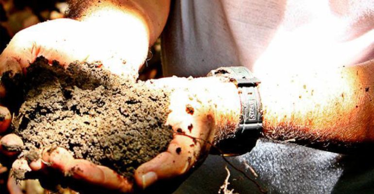 Nova técnica potencializa o uso de biocarvão como fertilizante agrícola