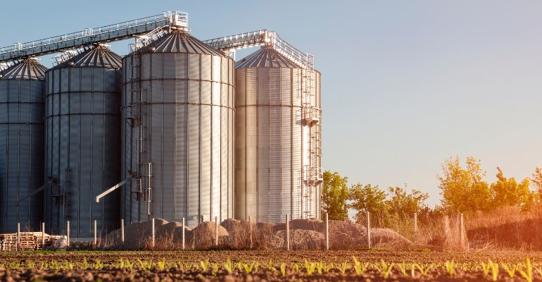 Como o armazenamento de grãos pode reduzir riscos e perdas agrícolas?