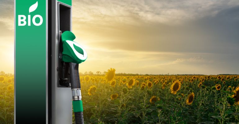 Biodiesel: conheça as características e vantagens do combustível do momento