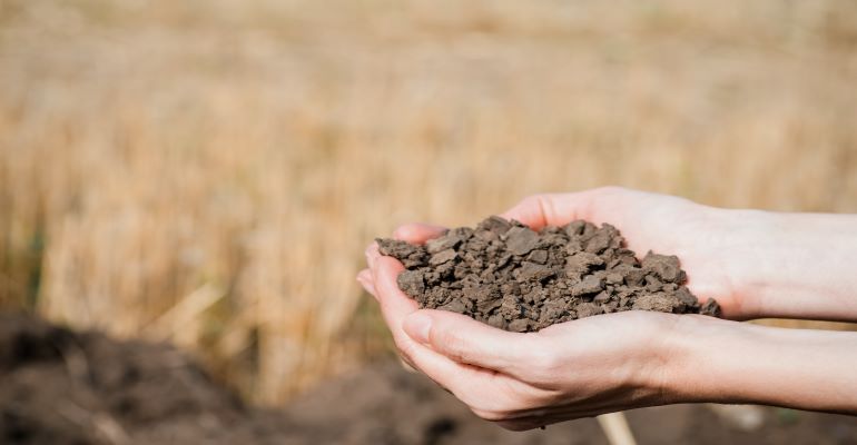 Como fazer a correção do solo? Veja estas 3 técnicas!