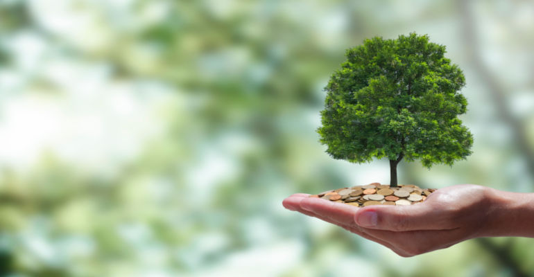 Mercado de carbono e suas oportunidades para o agronegócio brasileiro