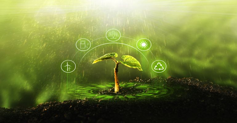 O Impacto dos Bioinsumos na Agropecuária Brasileira