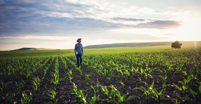 Banco BTG Pactual reconhece a relevância do agronegócio e oferece linhas de crédito exclusivas ao setor
