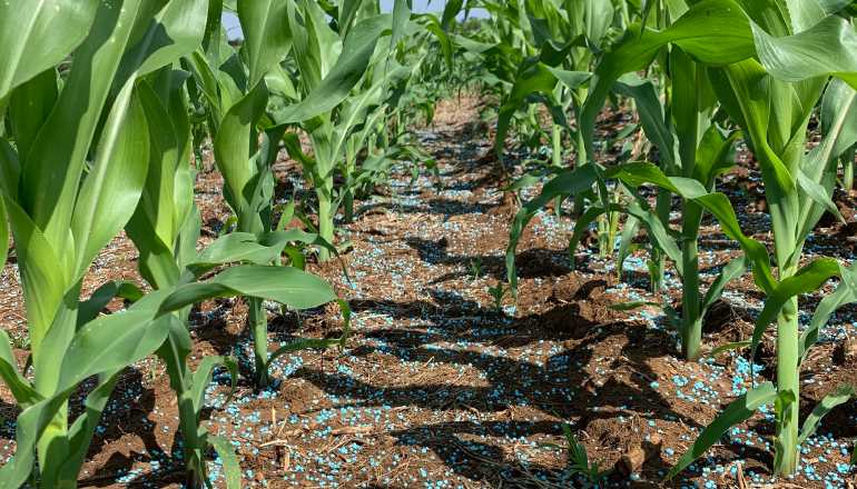 Npro Max: conheça o produto da Eleva Química que garante estabilidade do nitrogênio empregado
