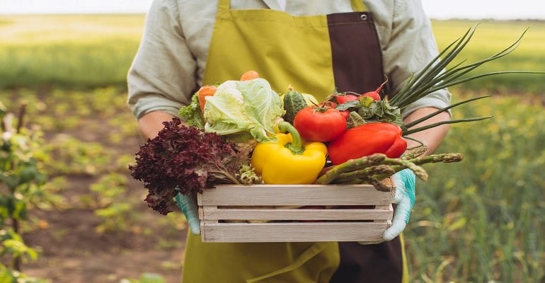 Tendência de consumo de alimentos orgânicos ajuda produtores familiares