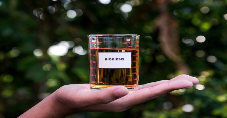 Cadeia da soja e do biodiesel no Brasil: Gera empregos e contribui com o PIB do agro