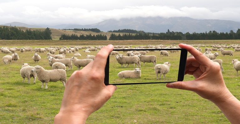 AgroFicção existe?
