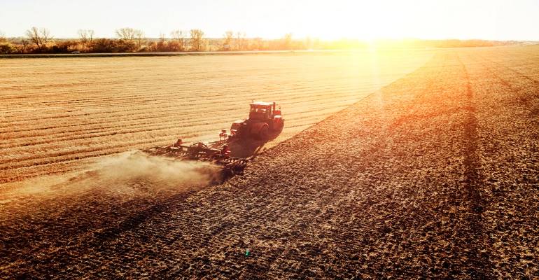 Ofensas ao Agro: 4 ações matadoras para prevenir