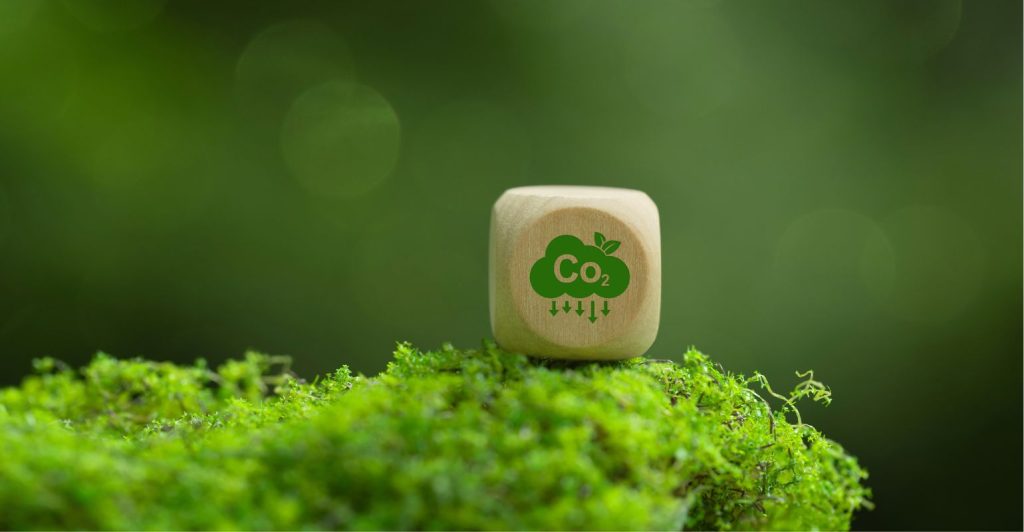 Crédito de carbono: o que é e como funciona sua comercialização?