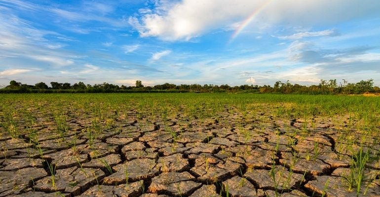 A comunicação e o El Niño
