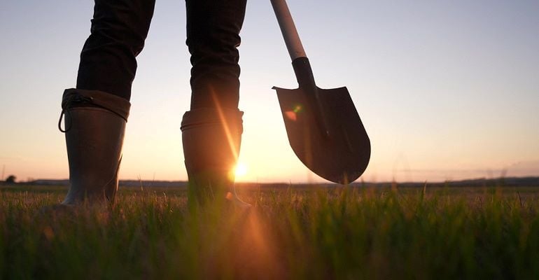 Manejo Sustentável e Conservação do Solo: o Guia Completo