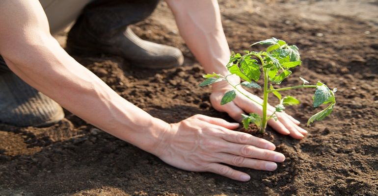 Mega dicas de práticas sustentáveis