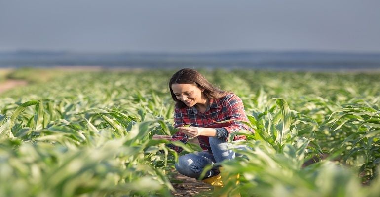 Dia Internacional da Mulher: as mulheres no campo!