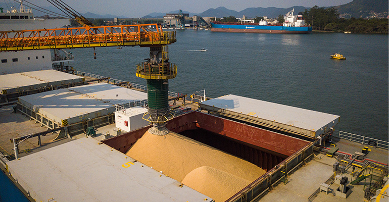 Entenda a importância do Porto de Santos no escoamento da produção agrícola brasileira