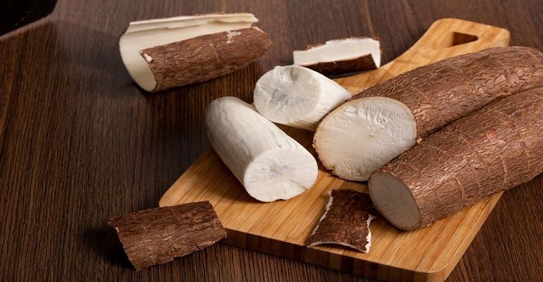 Como deve ser o preparo do solo para plantar mandioca?