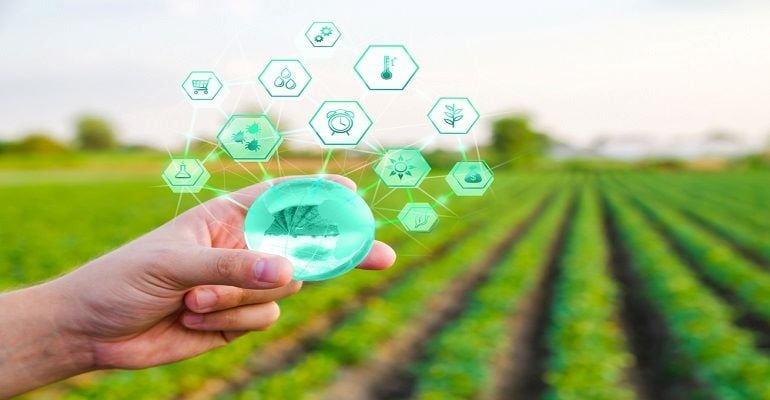 Artificial Intelligence in agriculture: 6 applications you need to know about