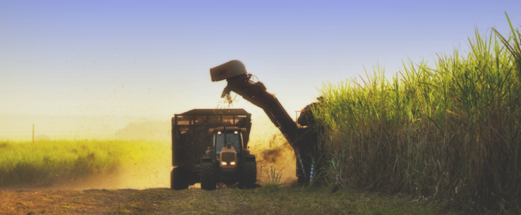 Vedações de alta performance: por que investir na sua indústria?