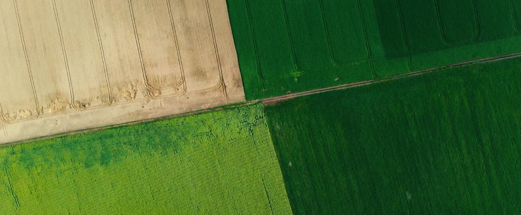 [E-BOOK] Rotação de culturas: o que é e como implementar?