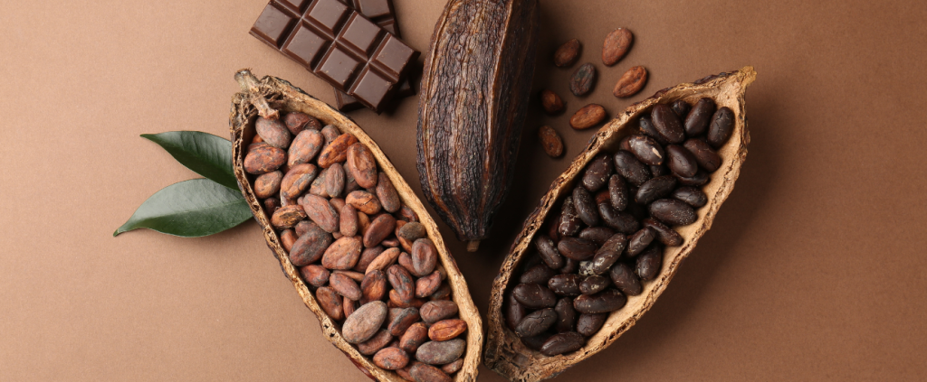 Desafios e oportunidades para os produtores de cacau na Páscoa