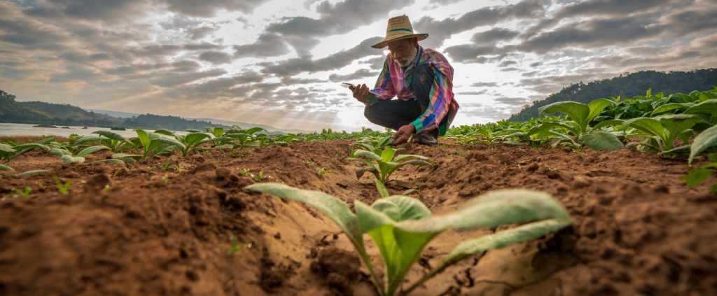 Agricultura de Precisão: como pode ser utilizada por pequenos e médios produtores?