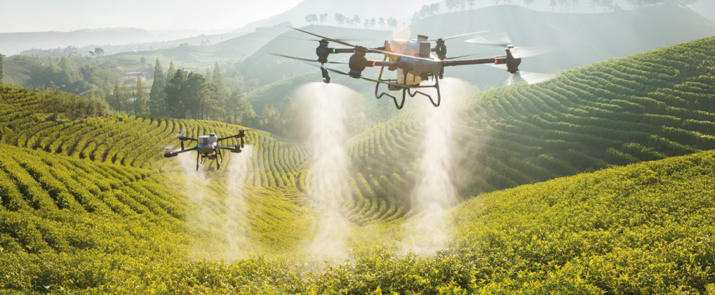 Drones e a transformação digital: o futuro das lavouras já começou!