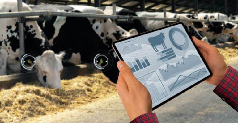 Biometria Bovina Revoluciona rastreabilidade na Pecuária Brasileira