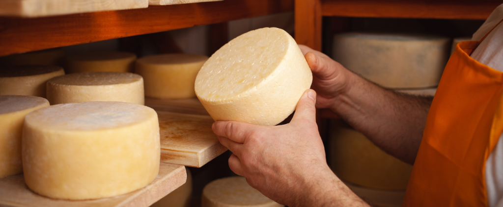 Como a Produção Artesanal de Queijos transformou propriedade rural – Agrishow Pra Elas