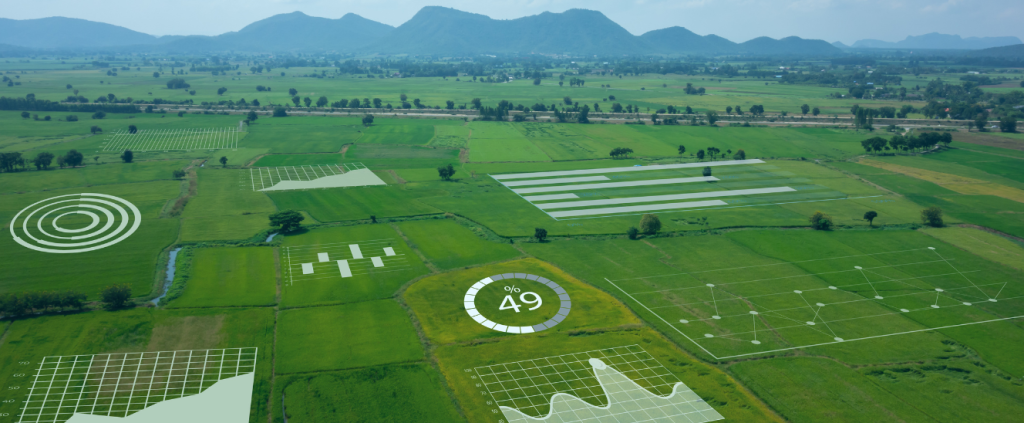 Agricultura de precisão: como suas inovações aumentam a produtividade?