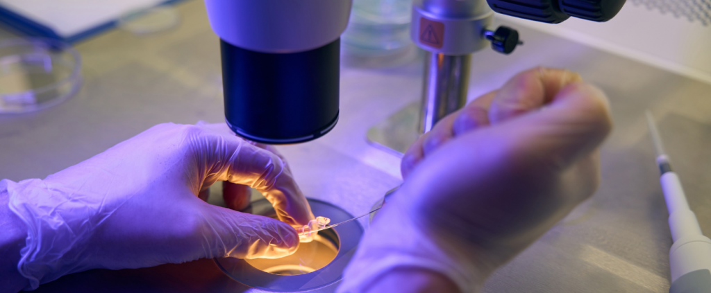 Biotecnologia para reprodução animal com Hormônios Éticos