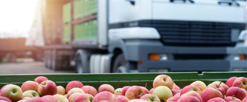 Varejo Agro: desafios tecnológicos e impactos na cadeia de valor brasileira