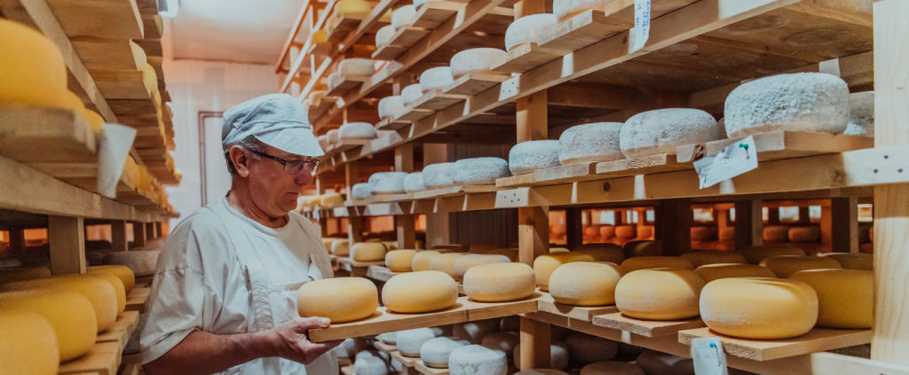 Selo Queijo Artesanal: por que obter e quais os benefícios?