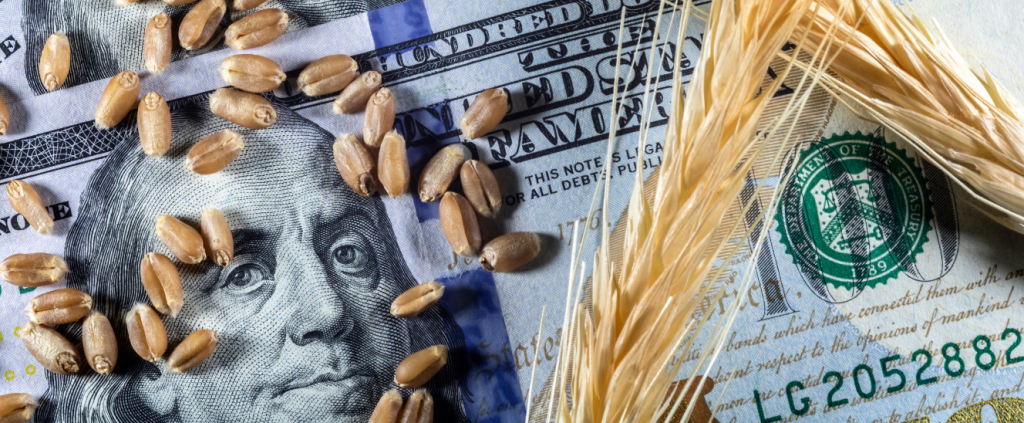 Tarifaço Trump: impacto no agronegócio brasileiro e estratégias para crise