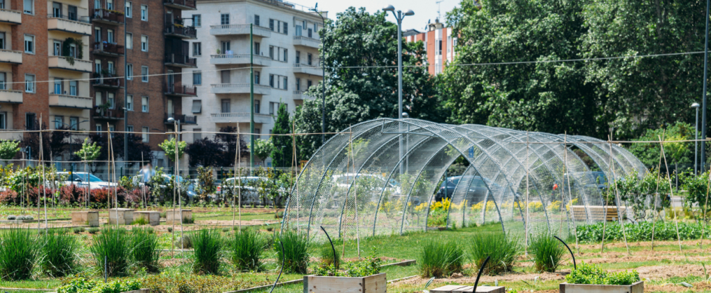 Agricultura urbana regenerativa: startup promove produção sustentável nas cidades