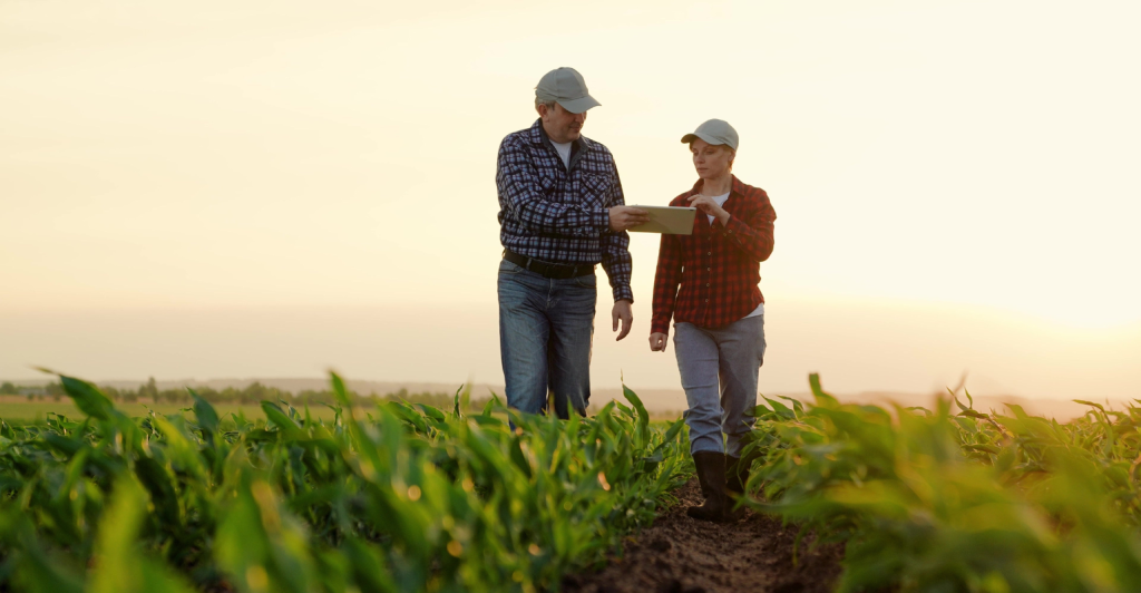 Você já fez uma ação estratégica em 2025?