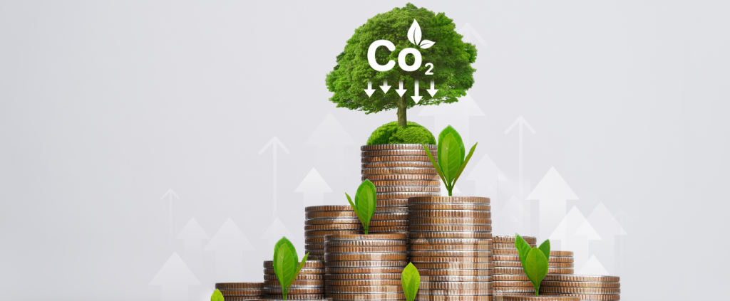 Como monitorar os créditos de carbono e ganhar com a medida?