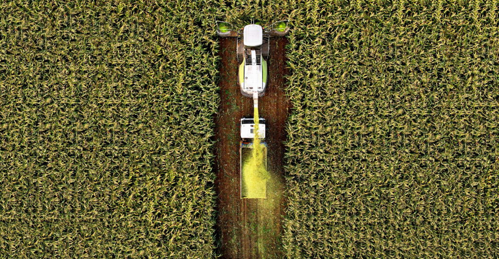 Agro cresce mais de 10% no segundo trimestre de 2025