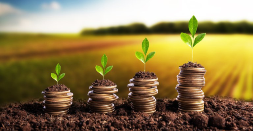 Plano Safra 2025/2026: CPRs e recursos equalizados sustentam estabilidade no crédito rural