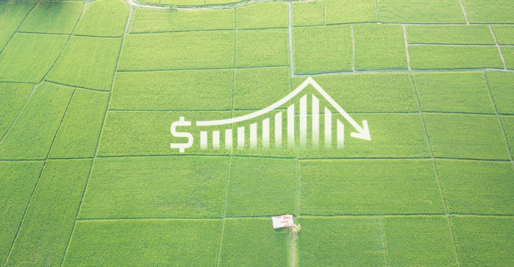 Exportações do agro caem, mas soja e carne bovina garantem fôlego ao setor