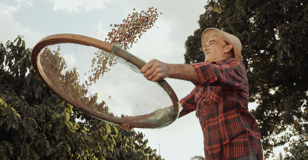 Governo Federal anuncia pacote de apoio ao setor agropecuário brasileiro