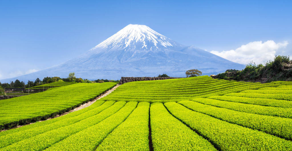Agricultura no Japão: como o país faz muito com tão pouco