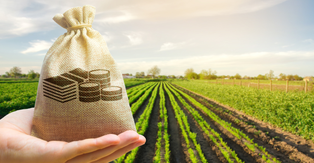 Cédula de Produto Rural: o que é, como funciona e benefícios