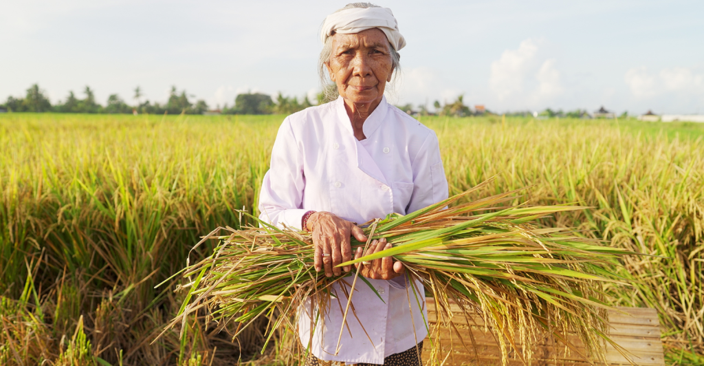 Ano Internacional da Mulher Agricultora: da igualdade ao desenvolvimento rural