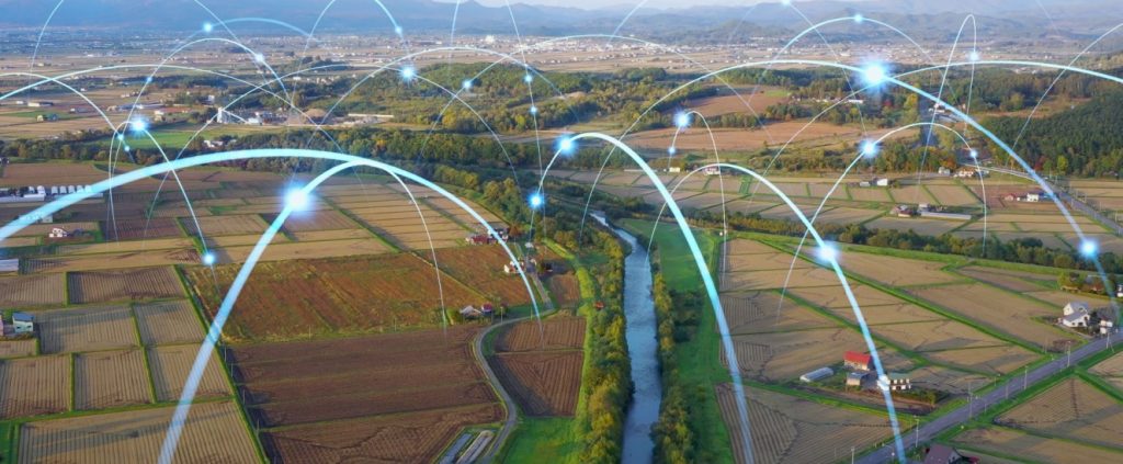 Guia prático: Como aplicar Inteligência Artificial e automação na agricultura