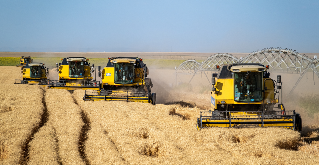 Agricultura na Turquia: diversidade produtiva, tecnologia e portas abertas ao Brasil