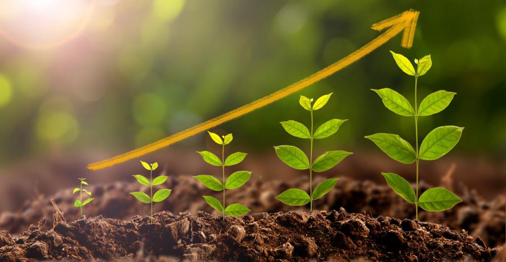 Bactérias promotoras de crescimento (PGPB): como a microbiologia agrícola está transformando a produtividade no campo