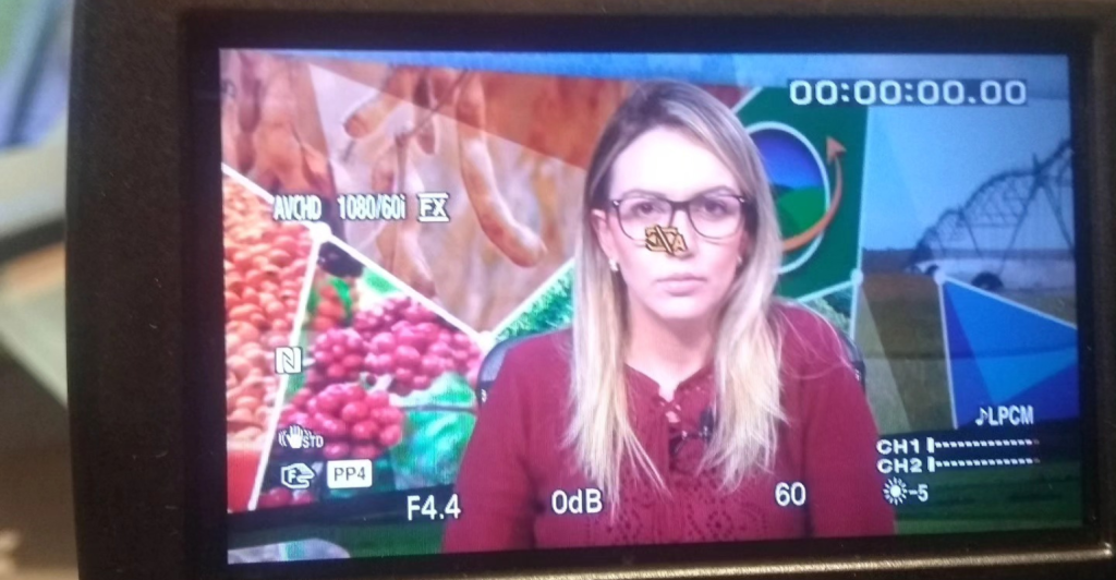 Entre o campo e as palavras