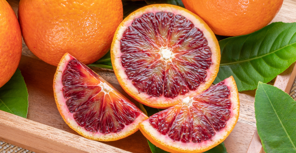 Laranja moro: como cultivar, benefícios e oportunidades de mercado