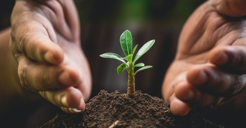 Nova lei de licenciamento ambiental entra em vigor em fevereiro: o que o produtor rural precisa fazer