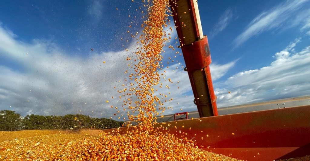 Arco Norte consolida nova rota do milho e redefine a logística do agro brasileiro