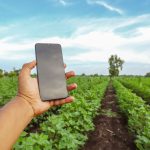 Close-up de uma mão masculina segurando um telefone celular com um campo agrícola ao fundo.